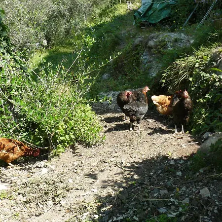 Farm stay La Ferme Des Cailletiers Chez Marco Luceram